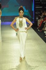 Model walks the ramp for Amrapali Jewels Pvt Ltd at IIJW Day 1 on 19th Aug 2012 (25).JPG